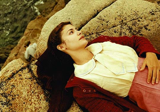 Largo domingo de noviazgo (Jean-Pierre Jeunet, 2004)